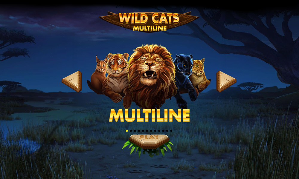 Aper u De Wild Cats Multiline Comment Jouer Casino777 Blog