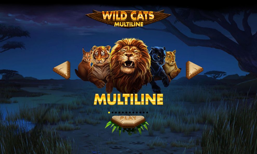 Questo é Wild Cats Multiline!